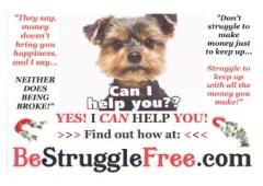 Follow Our Simple, Step-By-Step System