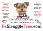 Follow Our Simple, Step-By-Step System