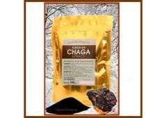 Buy Potent Chaga Extract - Freeze-Dried & Water Soluble