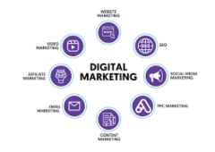 AGENCY SITES FOR SALE